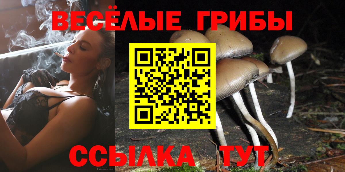 Галлюциногенные грибы GOLDEN TEACHER  Вход с VPN  Псилоцибиновые грибы GOLDEN TEACHER  Городец 