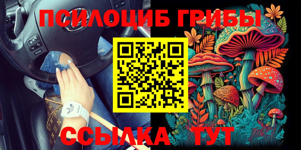 Галлюциногенные грибы Magic Shrooms Городец